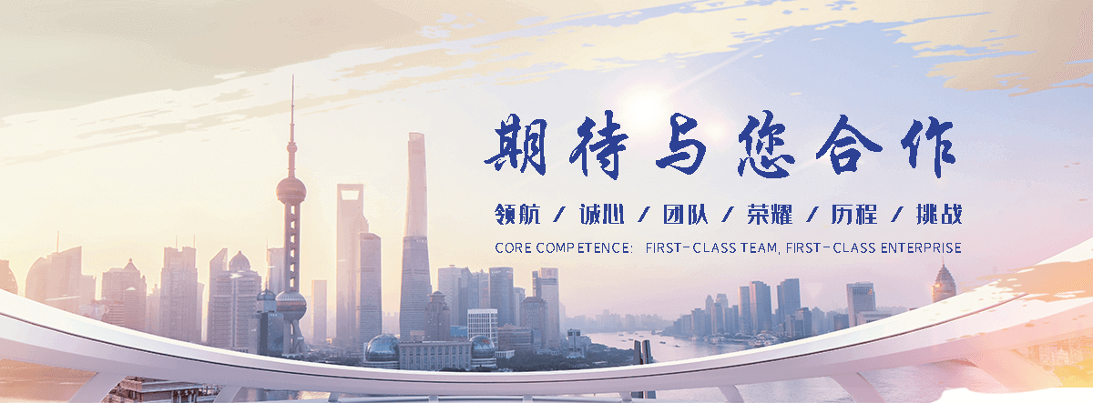 绵阳海狮租赁公司